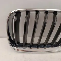 Grille Rein Gauche OEM 5A3D003 pour BMW F22 F23
