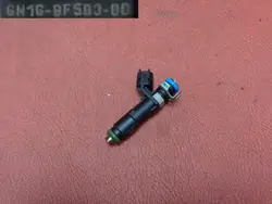 Bränsleinsprutare Ford 1.2 12V 2019 GN1G-9F593-BB