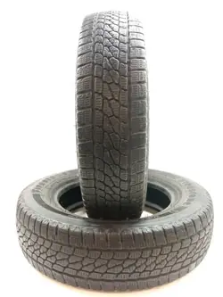 2x Pneu Inverno Firestone Vanhawk 2 185/75R16C