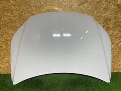 Motorlock VW Tiguan I 5N 5N0