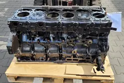 Bloc moteur OEM 0965294oip pour DAF XF 106 510CV