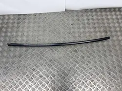 Garniture vitre arrière gauche Tesla Model X OEM 103224900B