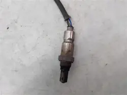 Sonda Lambda OEM 55579019 para Opel Insignia A
