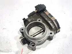 Gasklep Mercedes W203 2.0 163PK 00-07 A1111410325