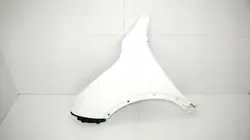 Para-lamas dianteiro esquerdo OEM 375485447 Nissan Juke F15