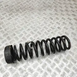 Molla dell'amortizzatore posteriore destro Mercedes-Benz E (W124) A1243241604