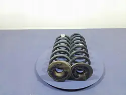 Mola traseira OEM 5QF511115BH para Skoda Kodiaq 2.0 Bi-TDI