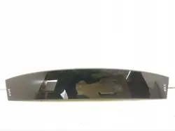 Porsche Panamera Glasstak OEM 10028539