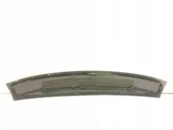 Porsche Panamera Glazen Zonnedak OEM 10028539