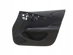 Rechtes vorderes Türpanel BYD Dolphin