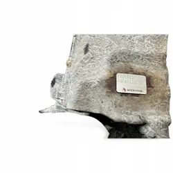 MAN Remklauw OEM 81508046669 Rechter aandrijfas