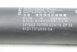 OEM 7312686 Tür-Teleskopstütze Links/Rechts BMW