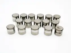 Poussoirs OEM 10140836524 pour Opel 1.7 CDTI