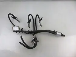 Carrera de inyección GLP OEM GISMI3110 para Volvo