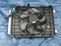 Lüfterkühler OEM 9860983480 für CITROEN C3 FIAT PANDA