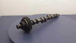 Polia de árvore de cames Mercedes W203 OEM A1110500649