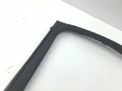 Fönstertätning AMD179409 OEM för bakdörr - Nissan Juke