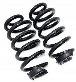 Molas traseiras OEM 1EA511103H para VW ID4
