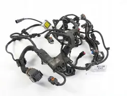 Faisceau Moteur OEM 9811405980 Citroen C4 Picasso
