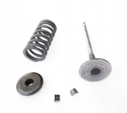 Mola de válvula OEM 9822 para Peugeot 1.6E HDi