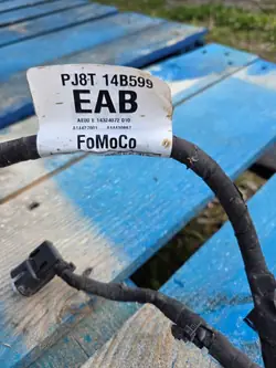 Câblage Moteur Ford Mustang Mach-E OEM PJ8T14B599