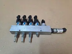 Rail injetor LPG BRC Rail B OEM (17) - Azul