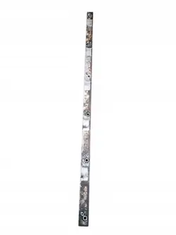 Scania R Brandstofrail OEM 1915948 - Gebruikt