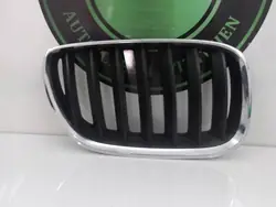 Grill, bumper, right front BMW X5 E53