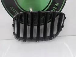 Griglia, paraurti, anteriore destro BMW X5 E53