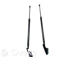 Amortisseur de hayon Toyota Yaris Cross 2025 OEM R7