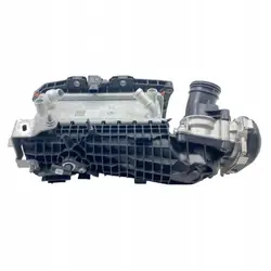 Dacia Ansaugkrümmer OEM 100012964R 1.2L Benzin