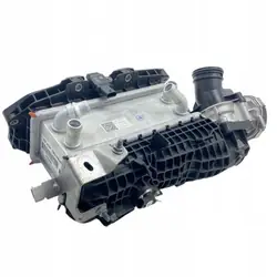 Dacia Ansaugkrümmer OEM 100012964R 1.2L Benzin