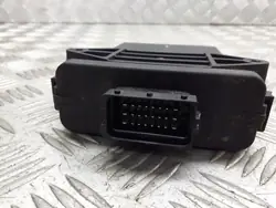 Module Commande Gaz Hyundai Trajet 2.0 OEM 67R011006