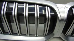 Grille Rein OEM 192976-10 pour BMW X3 G01 X4 G02