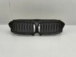 BMW 5 G30 G31 Grill OEM 7497279