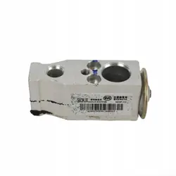 Soupape de détente AC OEM SA3HJX-8107010B - BYD Seal