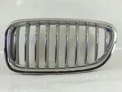 BMW OE 51137412325 Left Kidney Grill