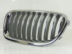 BMW OE 51137412325 Griglia Sinistra