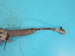 Ohjaustehostin VW Passat B7 3AB423050C