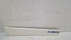 DAF XF 106 Trittverlängerung OEM 1835031 - Gebraucht