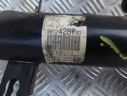 Amortisseur Avant Gauche Citroen C3 III 2017 OEM 9812428780