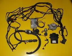 BRC LPG Sekventiell Kit OEM DE817010 - 4 Cylindrar