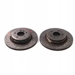 OEM 6855004-2 Hintere Bremsscheiben Satz 336x22mm