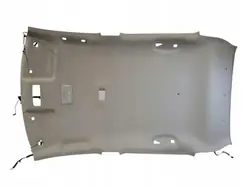 Plafonnier Nissan Leaf II OEM 572168451 - Occasion