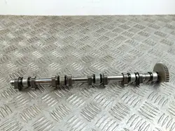 OEM 791783800 Nockenwelle für DS 7 Crossback
