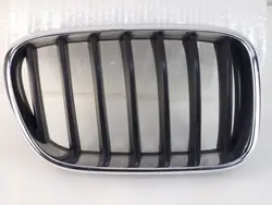 BMW X3 F25 Right Kidney Grille Original OEM 51117210726