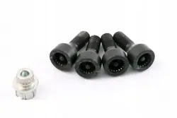 Pyöränruuvit OEM 2453960 MINI R55 R56 F56