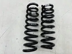 Mola Suspensão Traseira BMW F31/F36 - Peça OEM