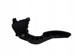 Kaasupoljinpotentiometri Renault OEM 180020023R