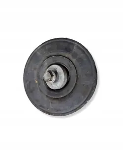 Krukaspoelie OEM 3624495330722 voor Scenic II